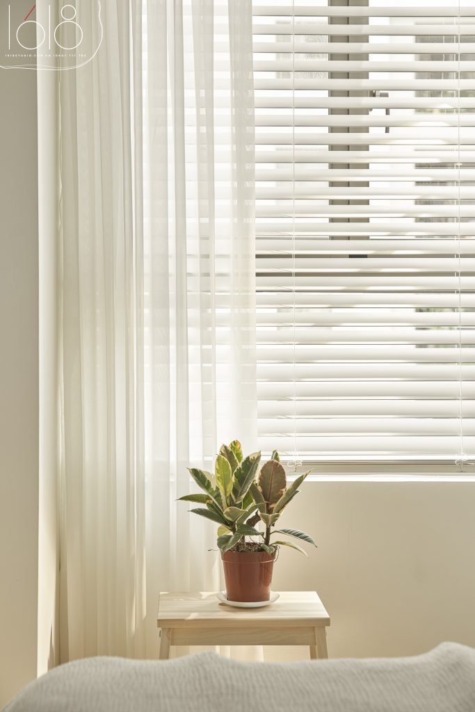 OLIVE & CREAM 28 20 9